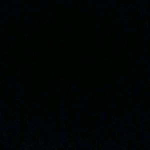 Meet your Posher, Liza